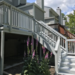 A grey wooden deck and stairs with purple foxglove flowers growing in the yard below.