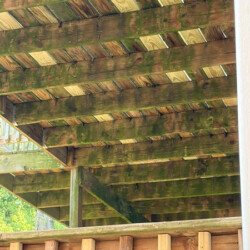 The underside of a wooden deck with moss-covered joists and decking boards.