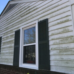 White house siding covered in patches of green mildew.