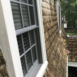 A gray window set into a shingled roof covered in moss.