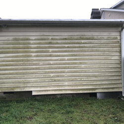 Exterior wall of a house with horizontal siding covered in green algae buildup.