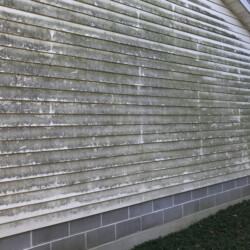 Exterior vinyl siding covered in green algae and mildew.