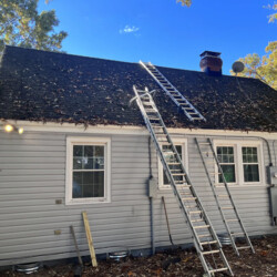 Two extension ladders leaned against the roof of a gray-sided house covered in fallen leaves.