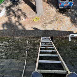 A ladder leaning against a mossy roof, viewed from above, with a yard and a truck visible below.